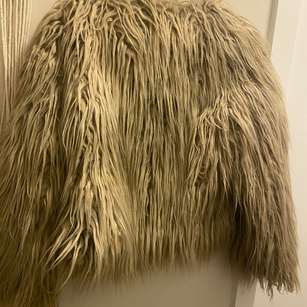 Jacket - Picture 3 of 4